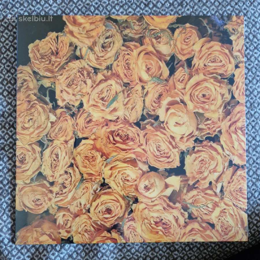 Not Waving - The Place I've Been Missing / Vinyl L