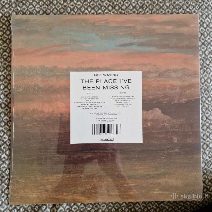 Not Waving - The Place I've Been Missing / Vinyl L - nuotraukos Nr. 2