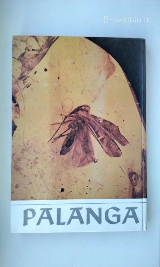 Palanga. 1989 m. leid. - nuotraukos Nr. 13