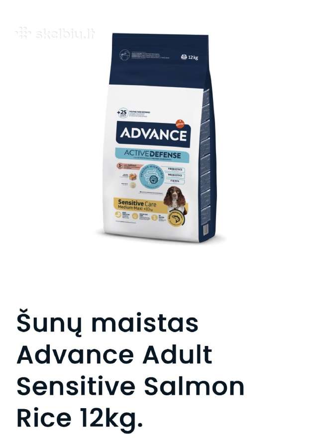 Šuns maistas