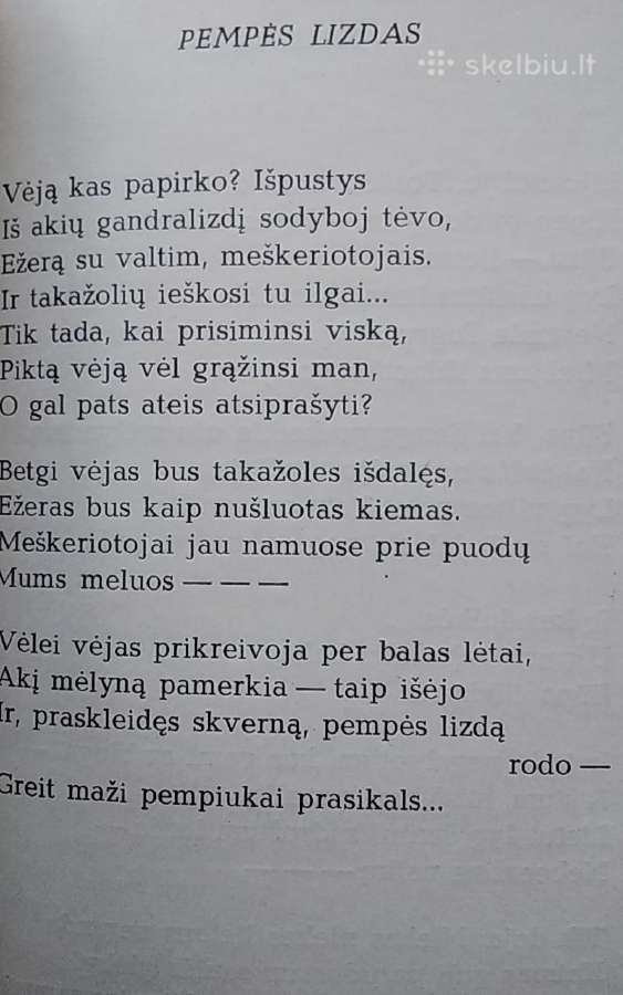 Vasaros žemė - nuotraukos Nr. 3