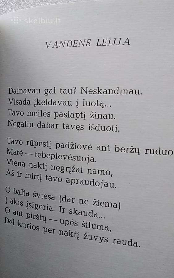 Vasaros žemė - nuotraukos Nr. 4