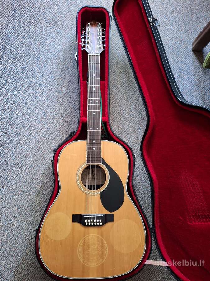 12 stygių gitara kubas mikšeris