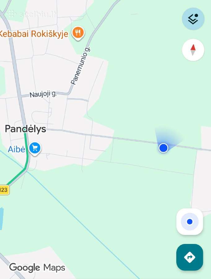 Parduodamas namas Pandėlyje - nuotraukos Nr. 16