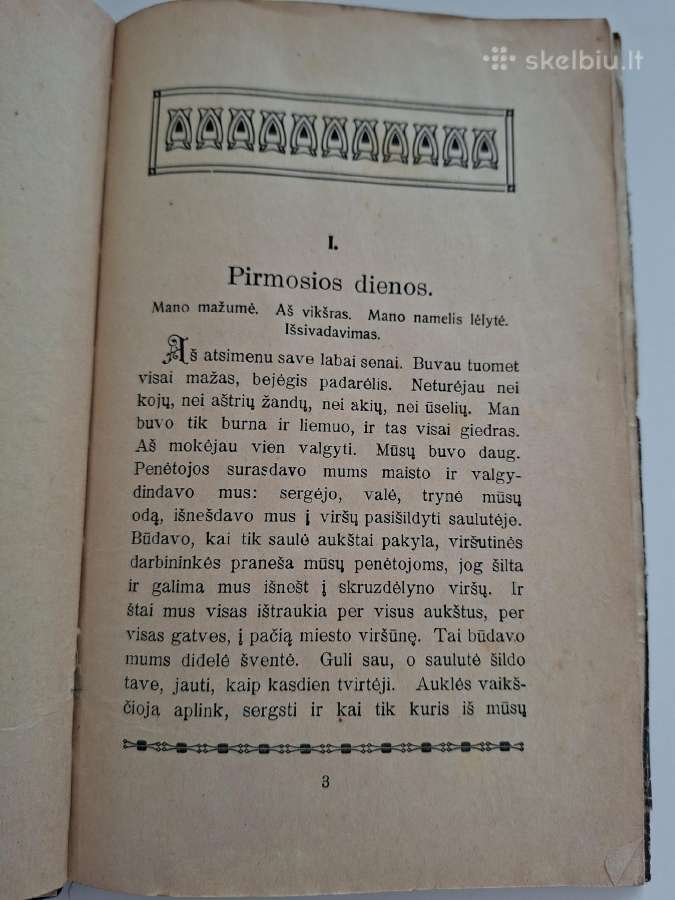Nuostabūs skruzdės gyvenimo atsitikimai. 1920 m. - nuotraukos Nr. 4