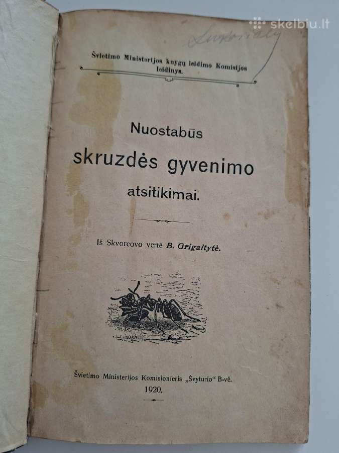 Nuostabūs skruzdės gyvenimo atsitikimai. 1920 m. - nuotraukos Nr. 2