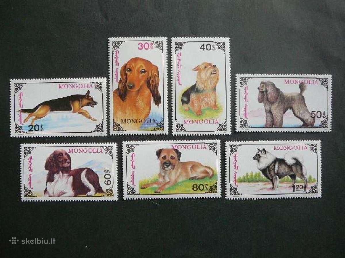 Sunys Mongolija 1991 Mnh mng841