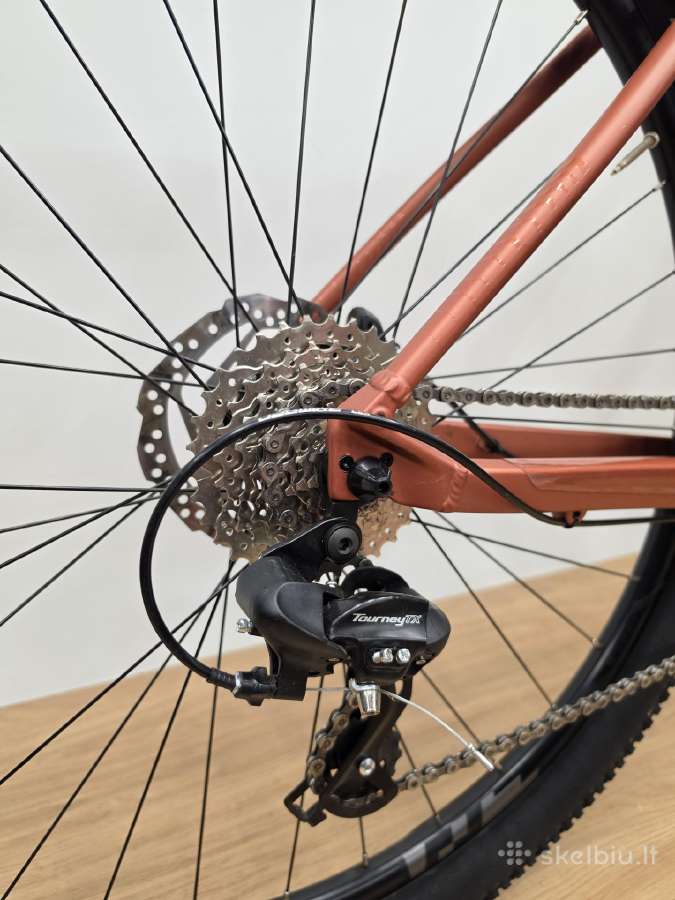 Orbea Onna 50 29er L 2x8s - nuotraukos Nr. 3