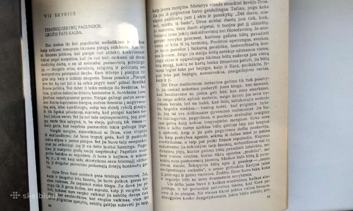 T. Dreizeris, Sesuo Kerė. 1973 m. leid. - nuotraukos Nr. 8