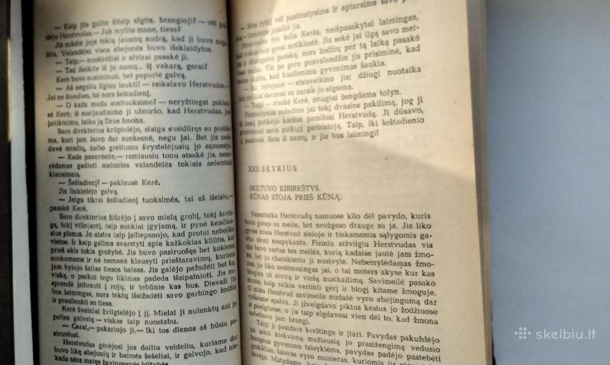 T. Dreizeris, Sesuo Kerė. 1973 m. leid. - nuotraukos Nr. 9