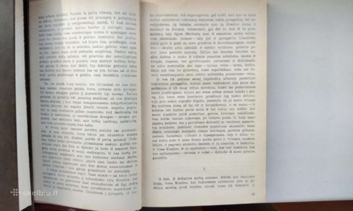 M. Prustas. Prarasto laiko beieškant. Svano pu - nuotraukos Nr. 5