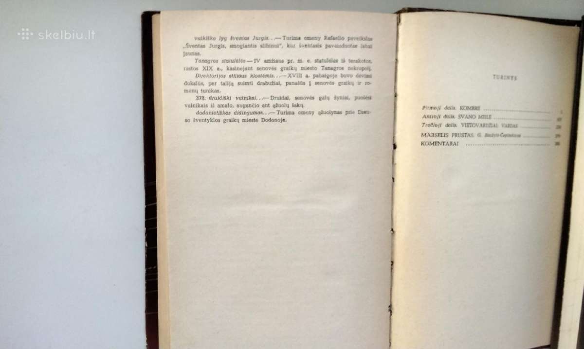 M. Prustas. Prarasto laiko beieškant. Svano pu - nuotraukos Nr. 7