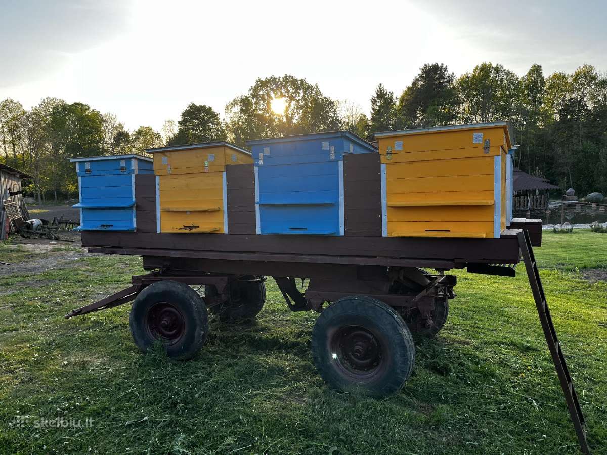 Parduodami mobilūs 8 bičių aviliai (be bičių)