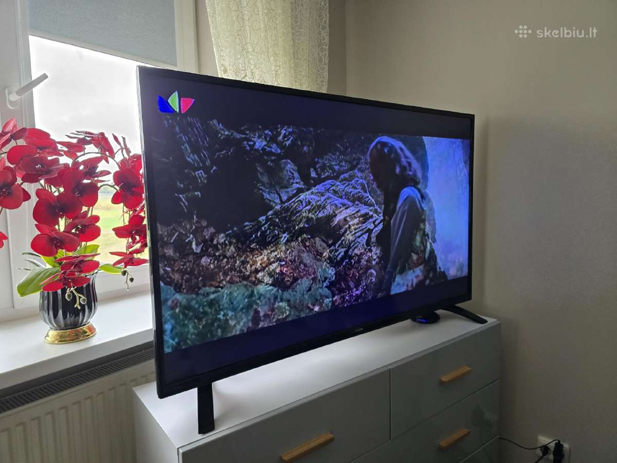 55 coliu išmanus TV Luxor