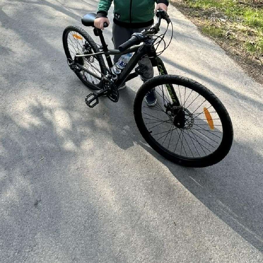 Cannondale dviratis berniukui