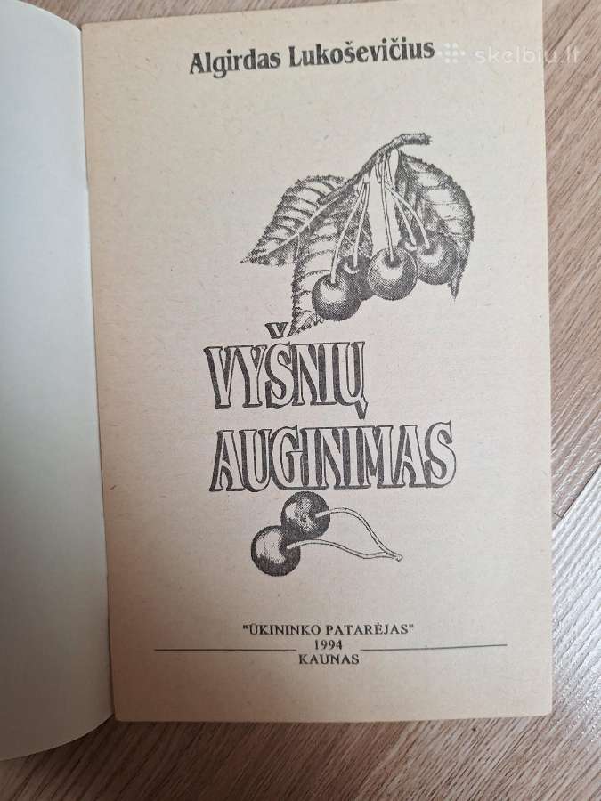 Vyšnių auginimas - nuotraukos Nr. 2