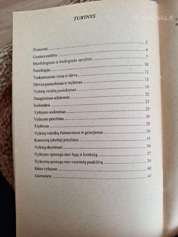 Vyšnių auginimas - nuotraukos Nr. 3