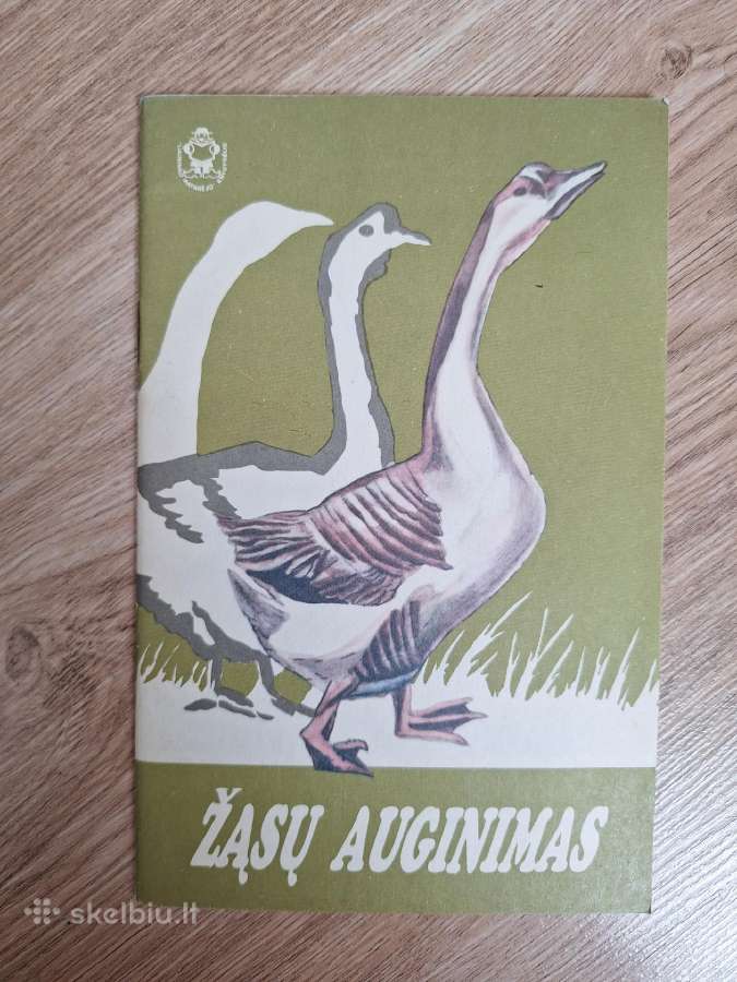 Žąsų auginimas