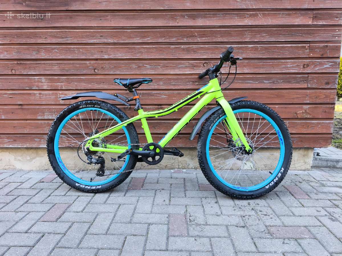 Dviratis Cross Rebel 24 coliu