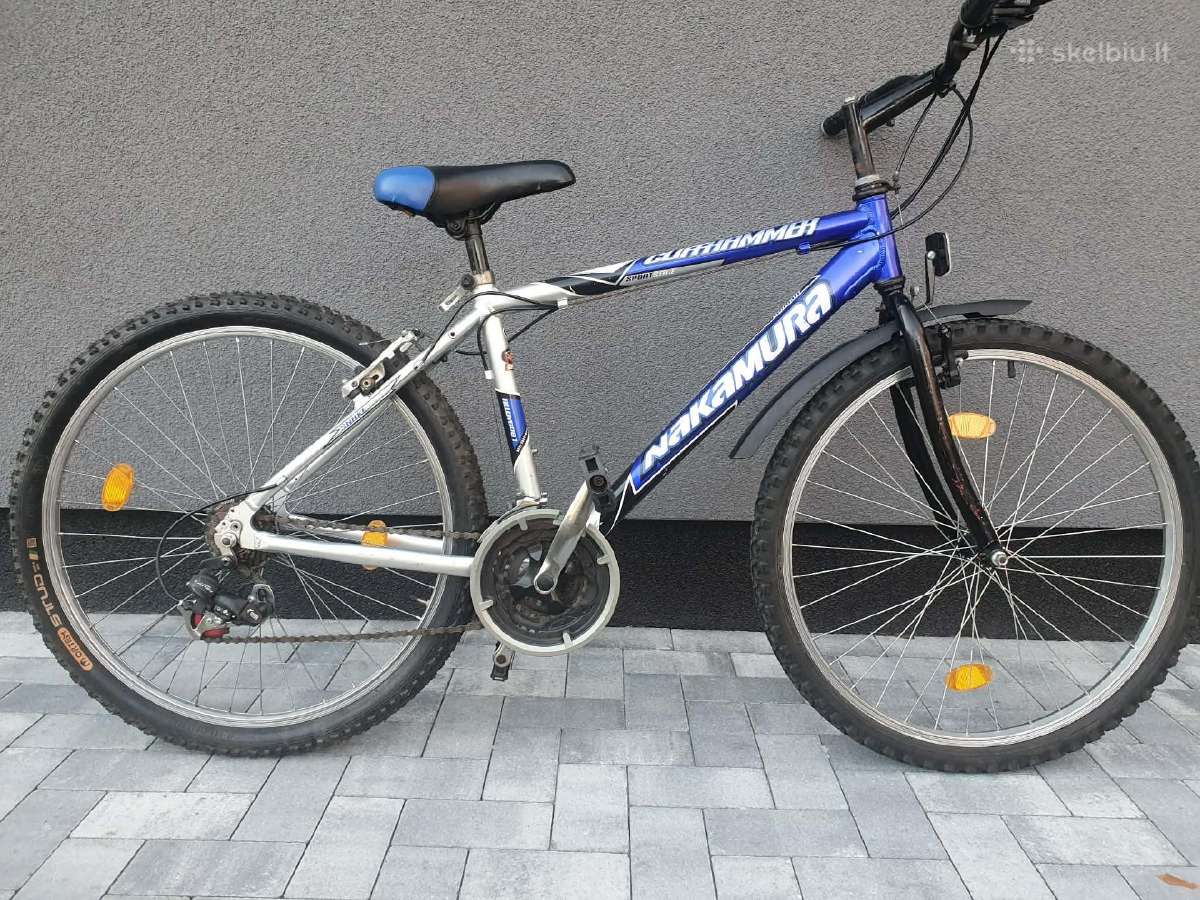 Dviratis