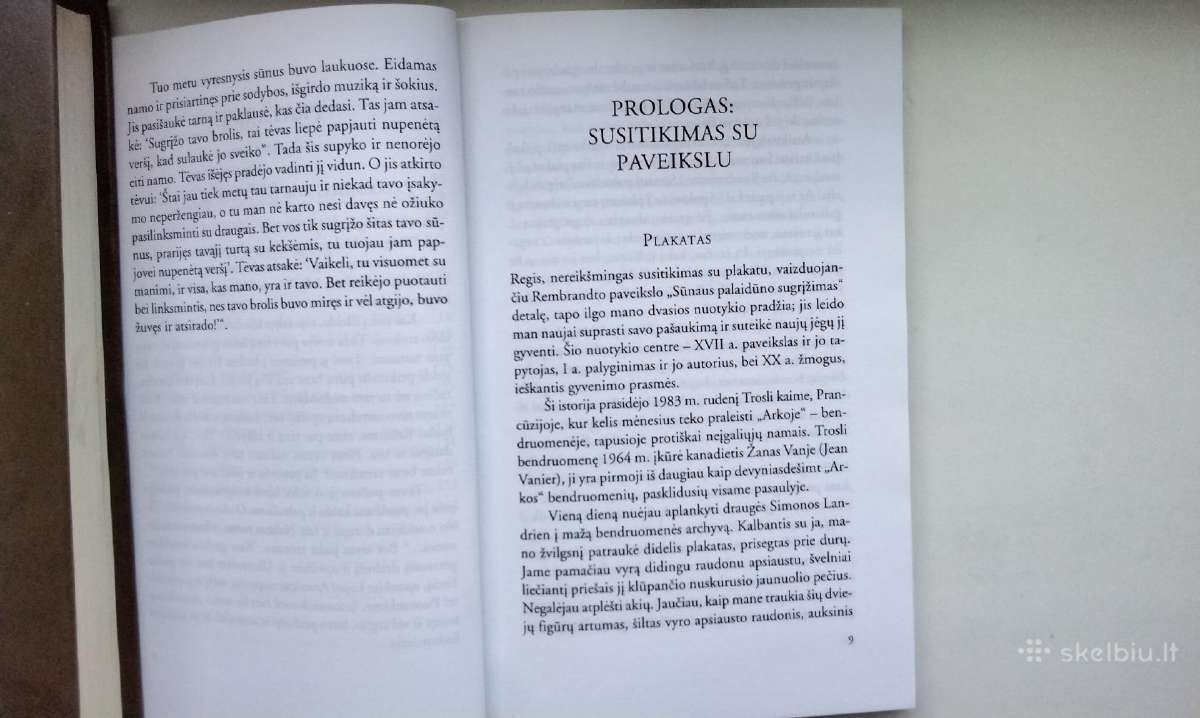 Nouwen. Siekimas. Sūnaus palaidūno sugrįžimas - nuotraukos Nr. 16