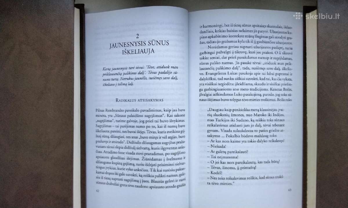 Nouwen. Siekimas. Sūnaus palaidūno sugrįžimas - nuotraukos Nr. 23