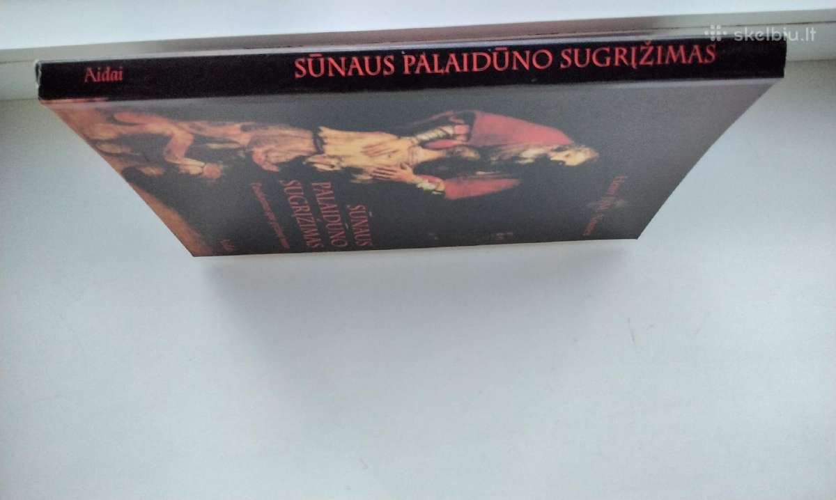Nouwen. Siekimas. Sūnaus palaidūno sugrįžimas - nuotraukos Nr. 26
