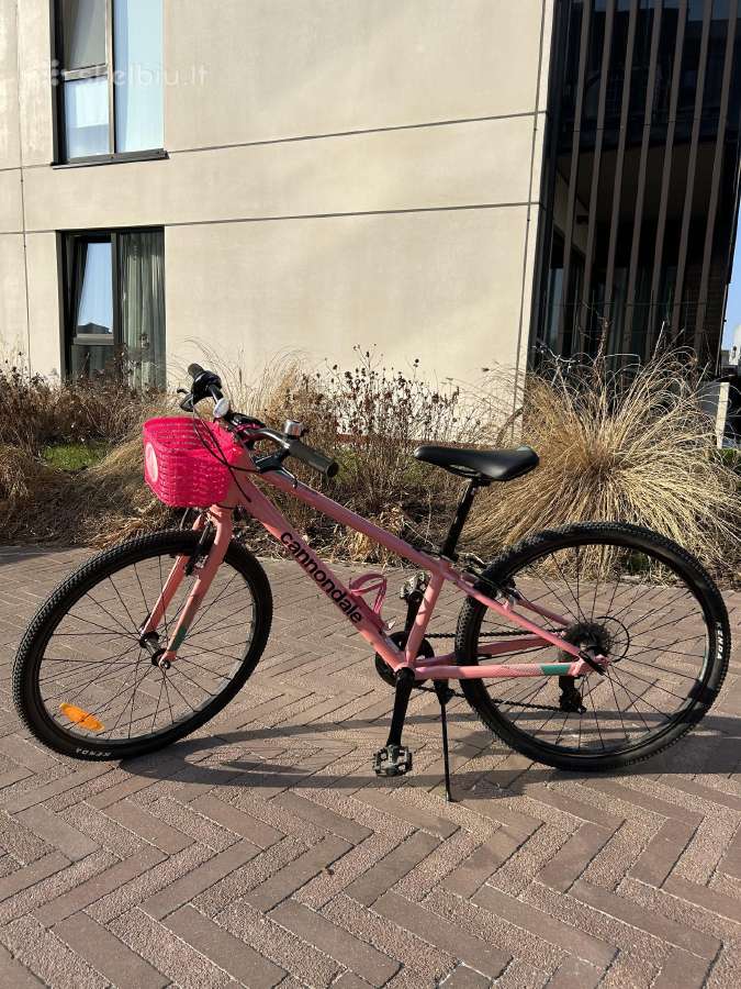 Puikus dviratis Cannondale