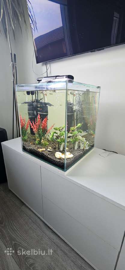 50ltr.akvariumas su žuvytėmis.