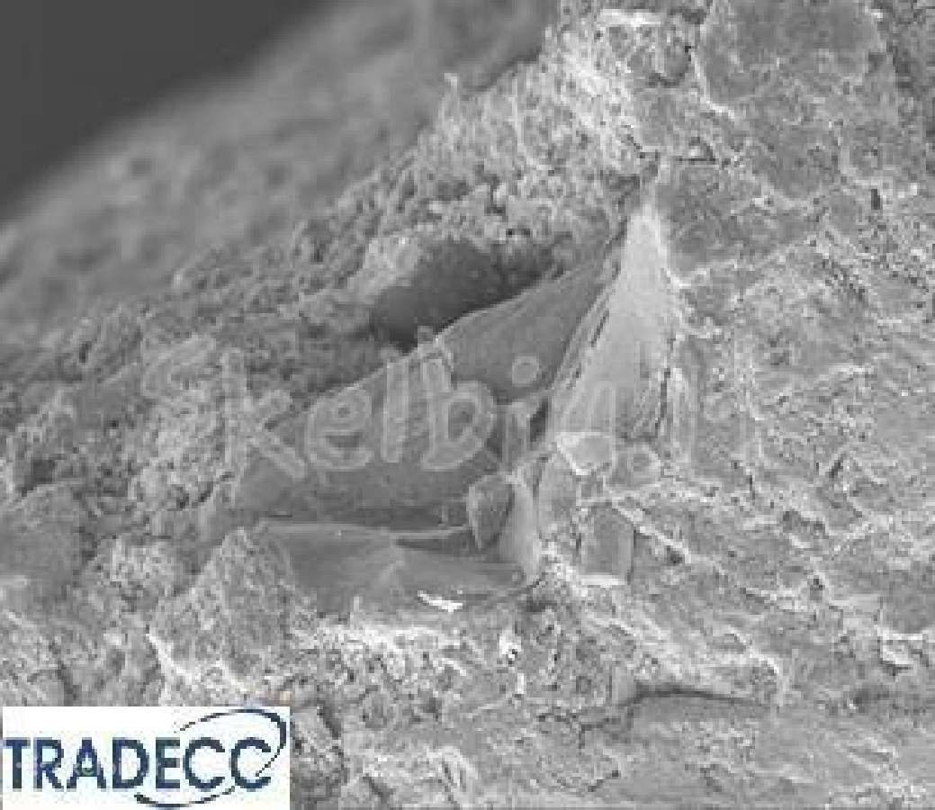 Betono kristalizacija Pc Cristal Concentrate - nuotraukos Nr. 7