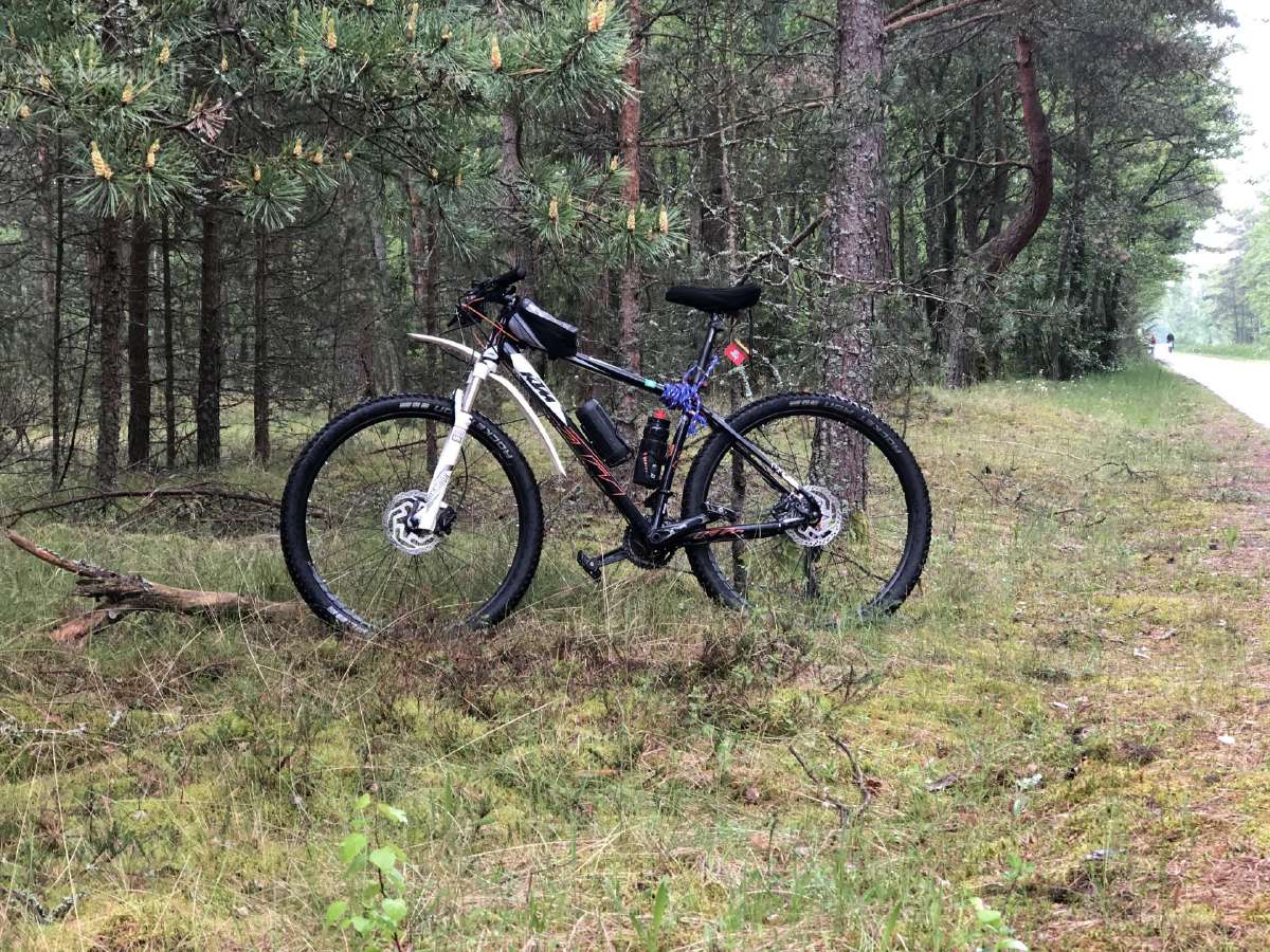 KTM XT, rockshox, tubeless. L - nuotraukos Nr. 9