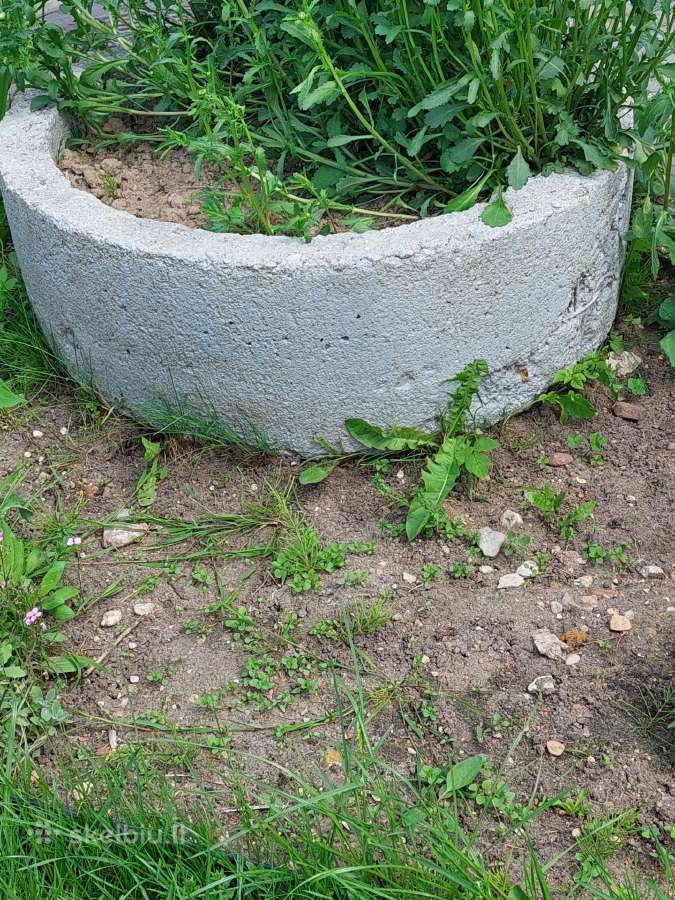 Dovanoju gisona (šulinio žiedą)