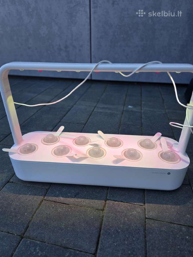 Daigyklė Click & Grow Smart Garden 9