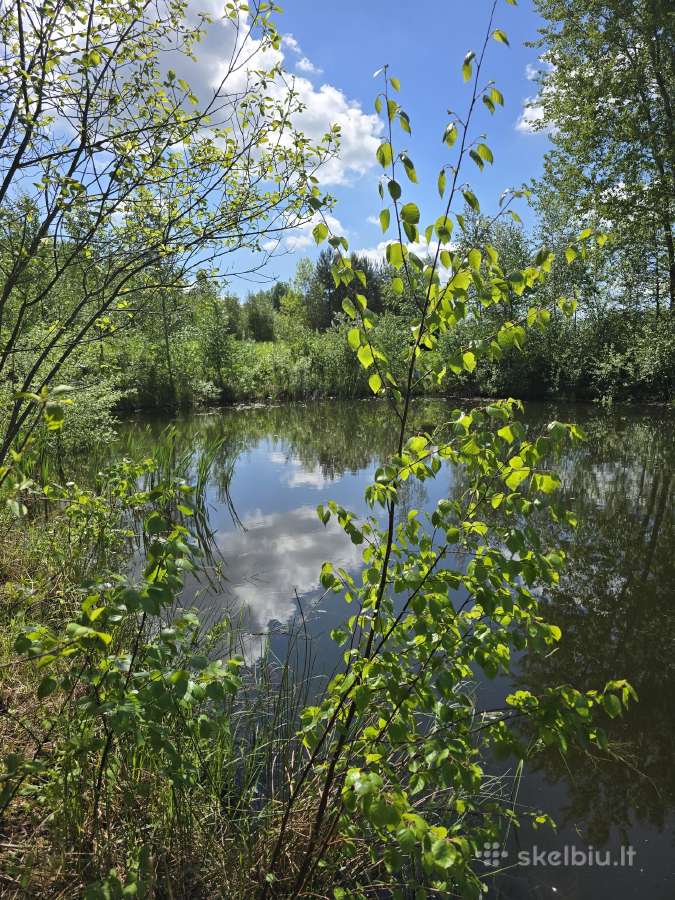 Parduodu žemės sklypą Širvintų raj. - nuotraukos Nr. 2