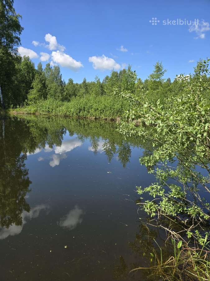 Parduodu žemės sklypą Širvintų raj. - nuotraukos Nr. 3
