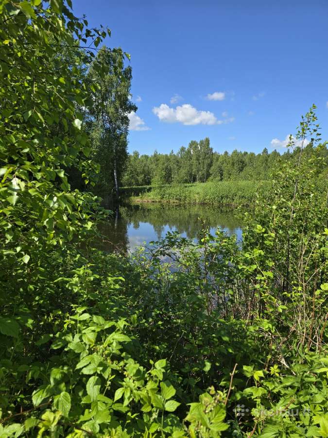Parduodu žemės sklypą Širvintų raj. - nuotraukos Nr. 4