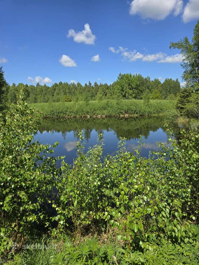 Parduodu žemės sklypą Širvintų raj. - nuotraukos Nr. 5