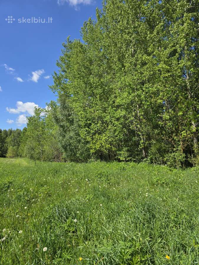 Parduodu žemės sklypą Širvintų raj. - nuotraukos Nr. 6