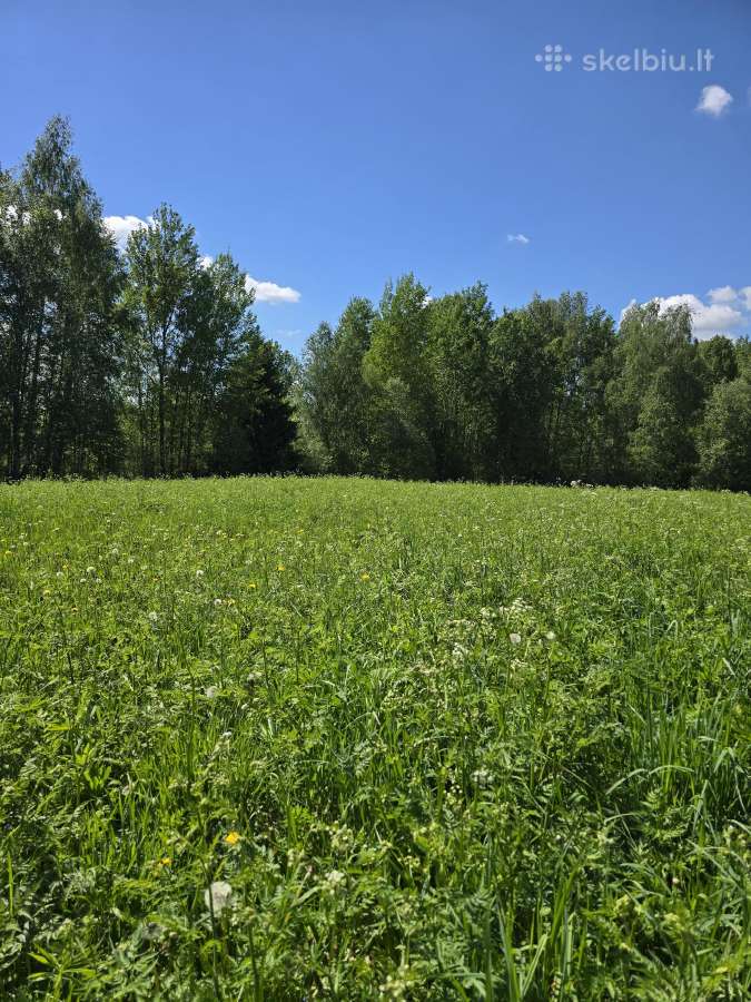 Parduodu žemės sklypą Širvintų raj. - nuotraukos Nr. 7