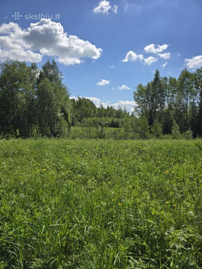 Parduodu žemės sklypą Širvintų raj. - nuotraukos Nr. 8