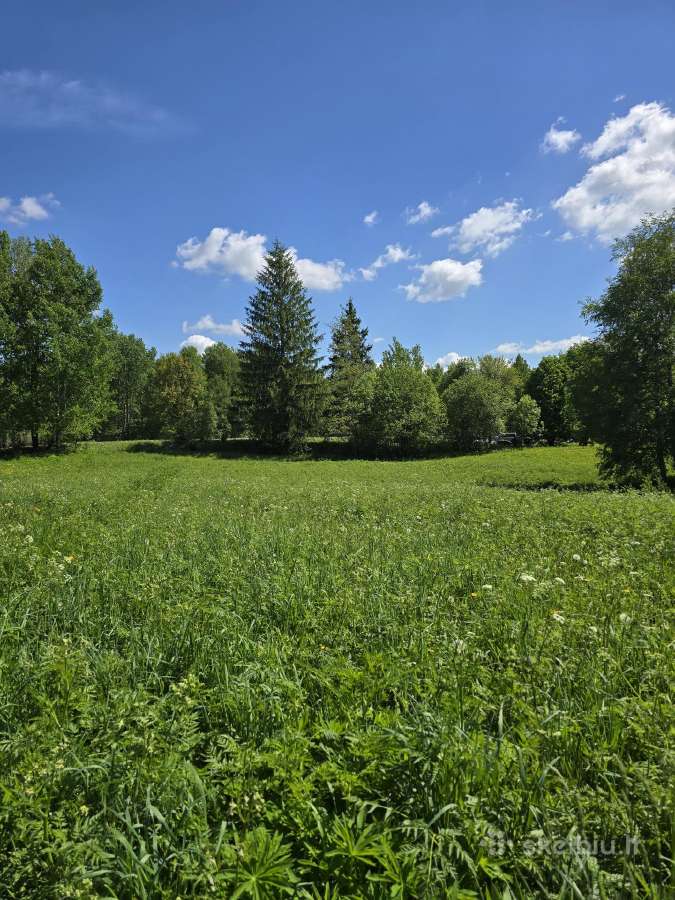 Parduodu žemės sklypą Širvintų raj. - nuotraukos Nr. 9