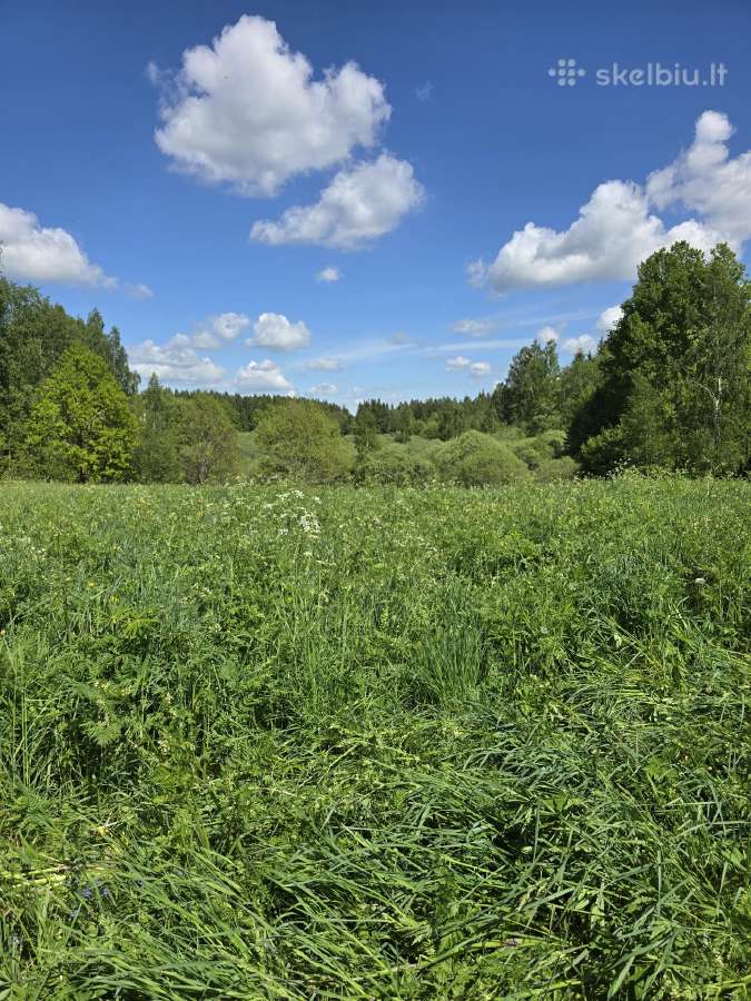 Parduodu žemės sklypą Širvintų raj. - nuotraukos Nr. 10