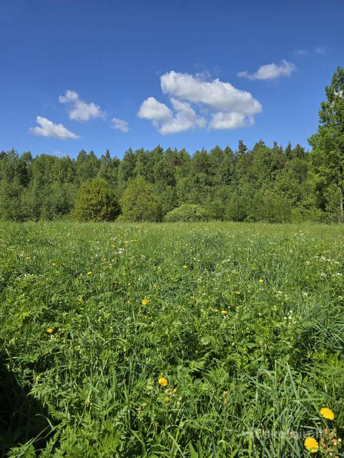 Parduodu žemės sklypą Širvintų raj. - nuotraukos Nr. 11