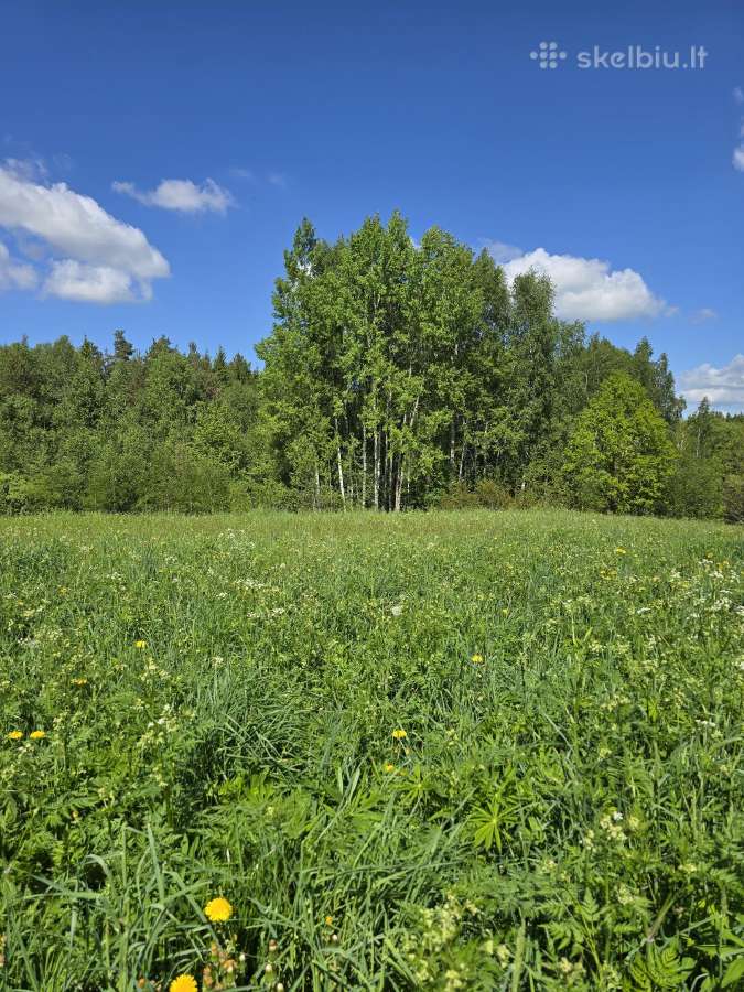 Parduodu žemės sklypą Širvintų raj. - nuotraukos Nr. 12