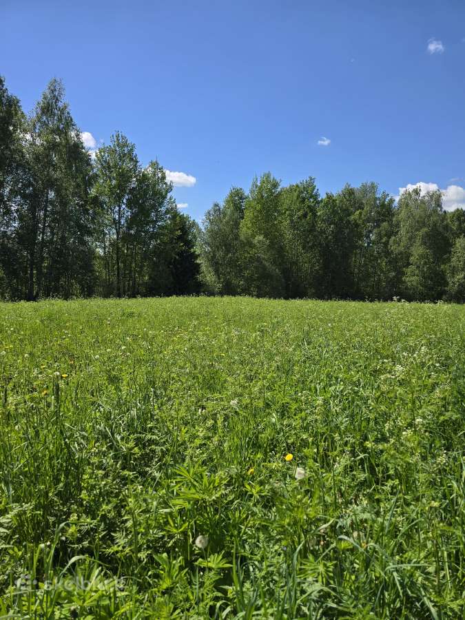Parduodu žemės sklypą Širvintų raj. - nuotraukos Nr. 13