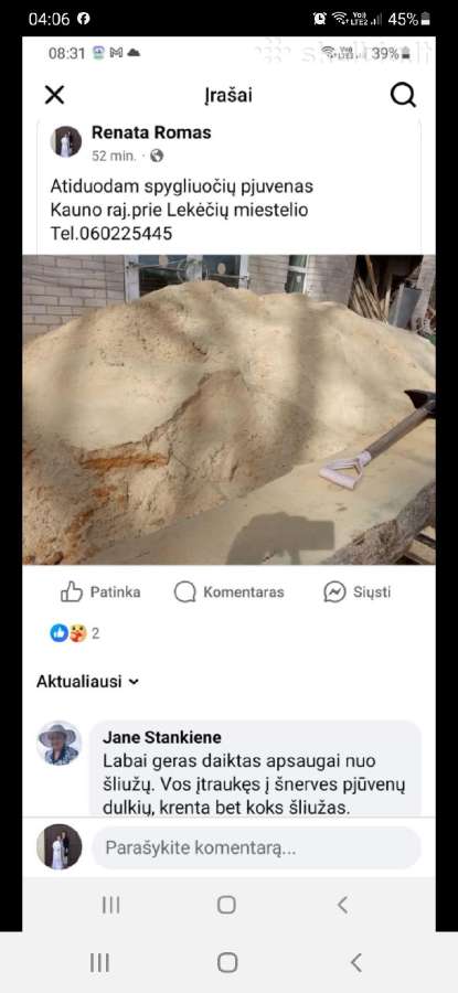 Statybinė mediena