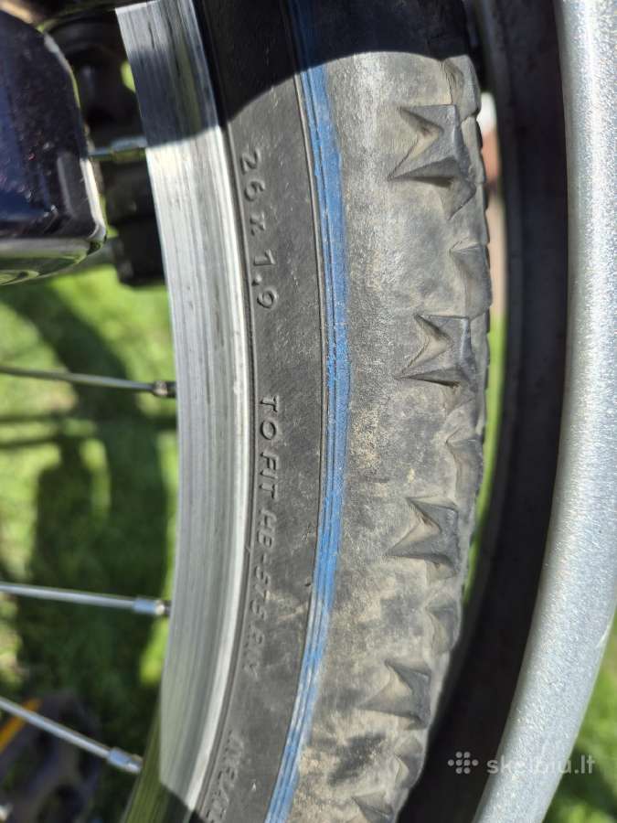 Norvegiškas Dbs Dviratis techniškai tvarkingas - nuotraukos Nr. 9