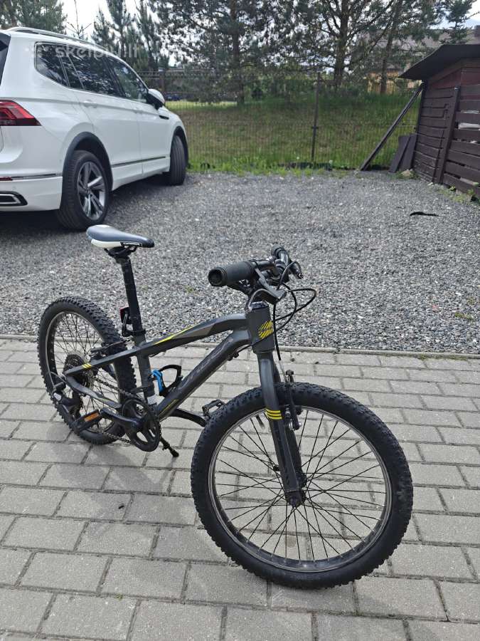 Puikus kalnų dviratis Orbea Mx 20 Dirt