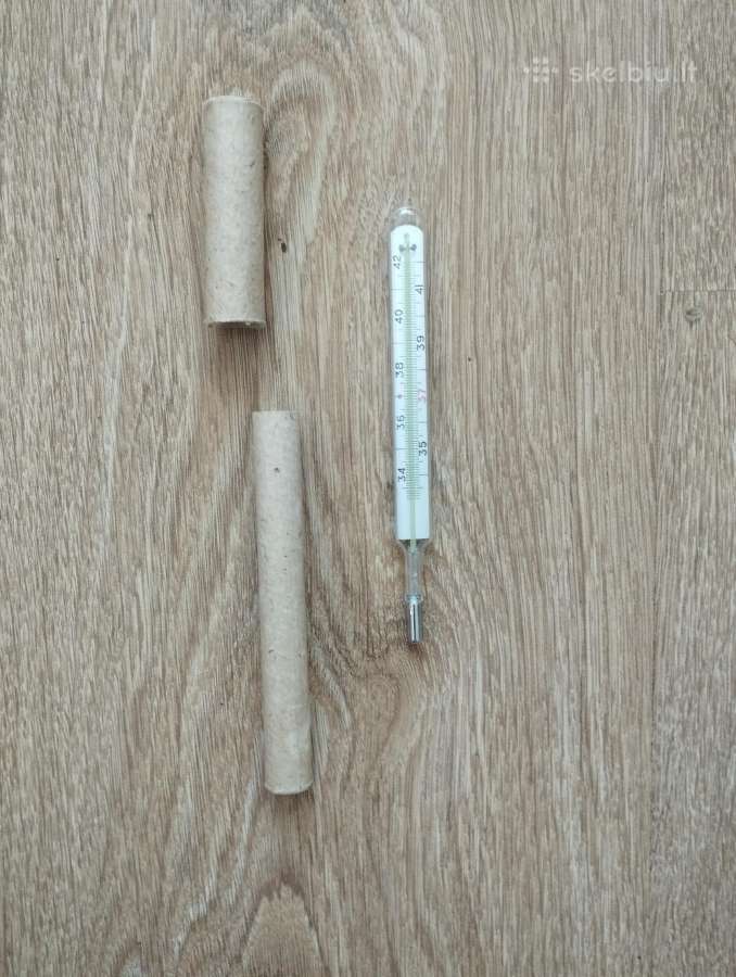 Gyvsidabrio termometrai