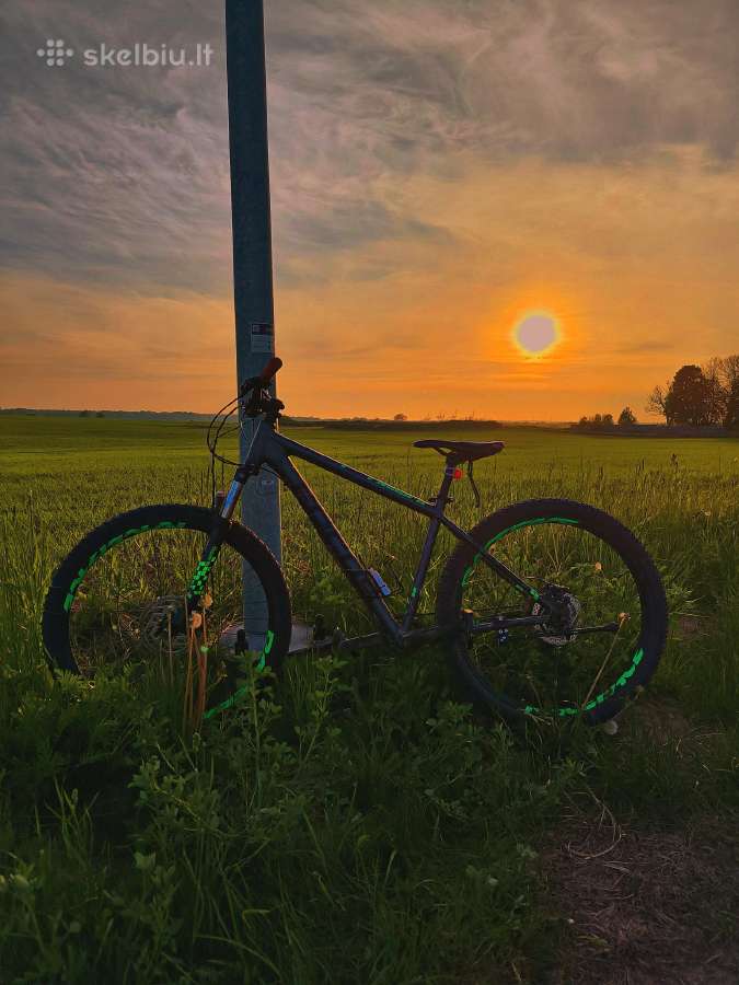 Focus kalnų dviratis
